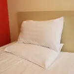 Greentree Inn Shanghai Nanqiao Middle Renmin Road Express Hotel